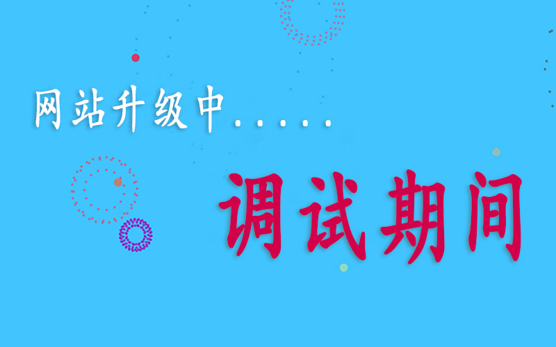 網(wǎng)站調(diào)試中